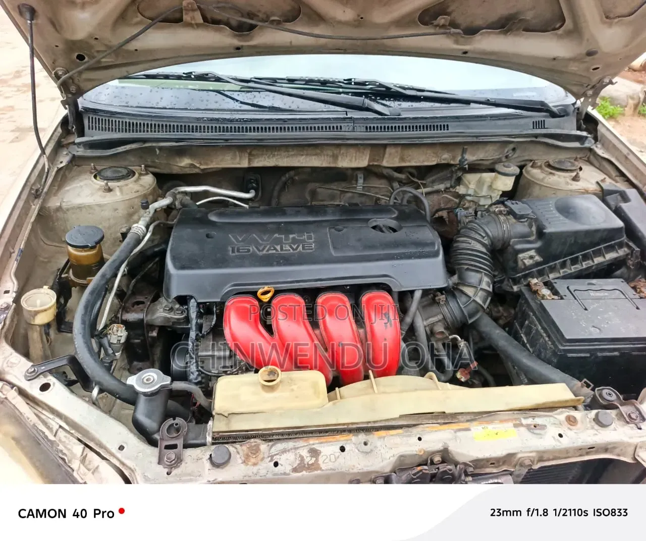 Toyota Corolla 2006 Gold
