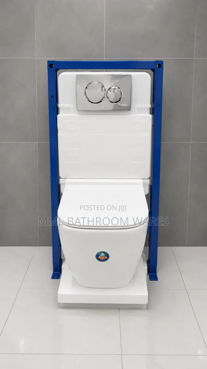 Original Wall Hung Wc With Concealed Tank