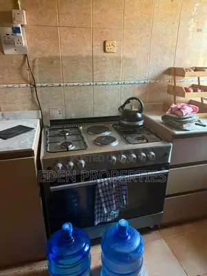 Gas Cooker