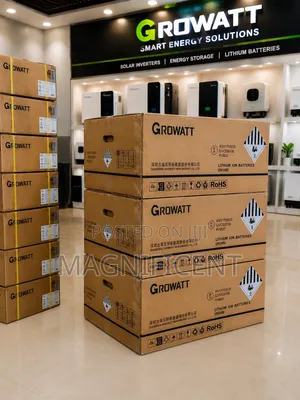 Growatt 16kwh 51.2v Lithium Battery | High-Performance Energy Storage