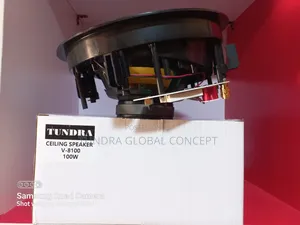 Tundra Frameless 100watts 8inches Ceiling Speaker