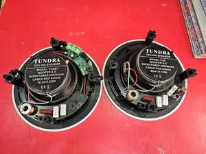 Tundra 2in1 40watts Bluetooth Speaker