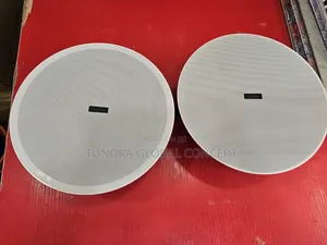 Tundra 2in1 40watts Bluetooth Speaker