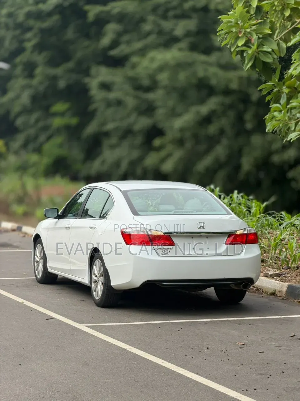 Honda Accord 2015 White