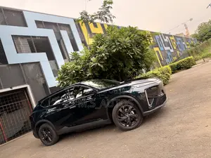 New Dongfeng EV EX1 2025 Blue