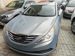 Hyundai Sonata 2011 Blue