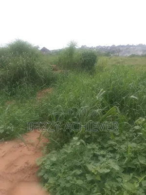 Land and Property