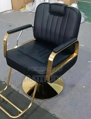 Executive Saloon Chair