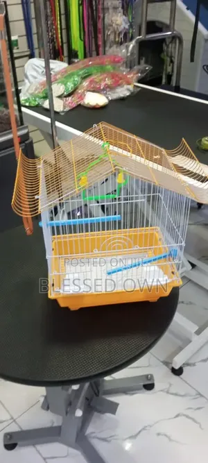 Colorful Strong Parrots Bird Cage