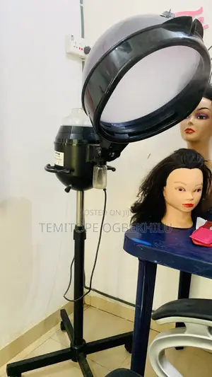 Standing Hair Steamer – Excellent Condition
