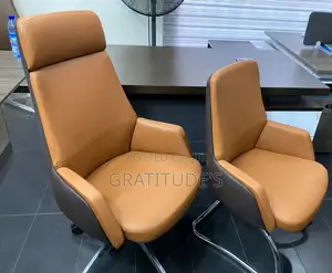 Ceo and Visitor's Chair