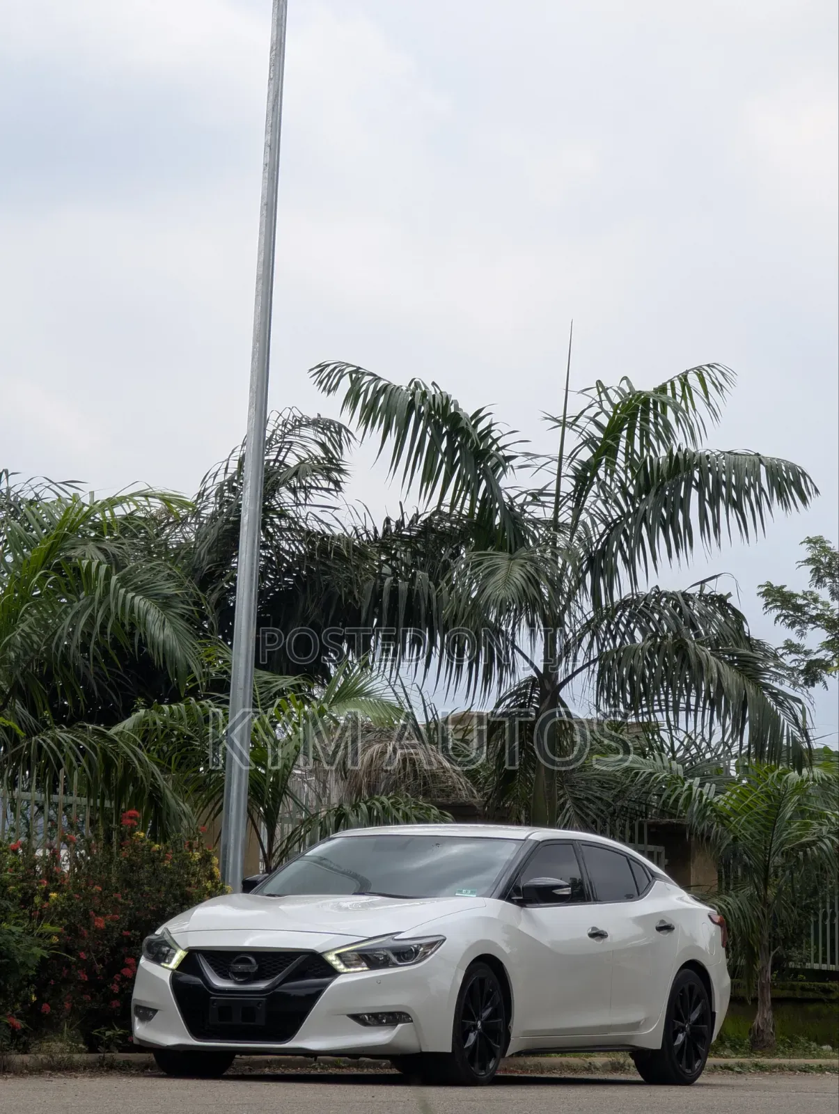 Nissan Maxima 4dr Sedan 2016 White
