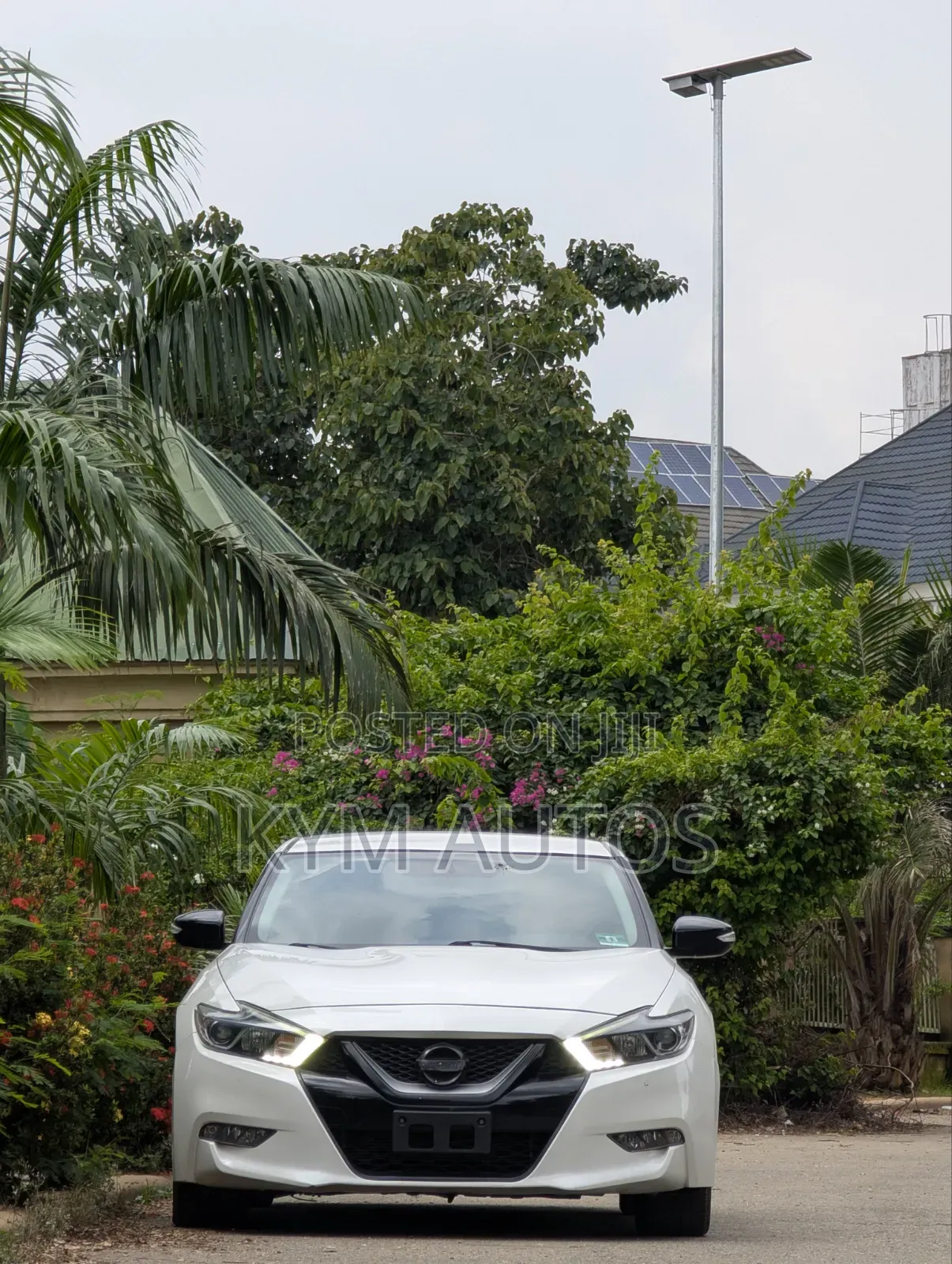 Nissan Maxima 4dr Sedan 2016 White