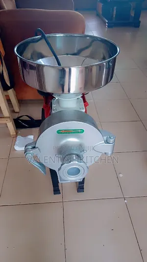 Wet and Dry Grinder