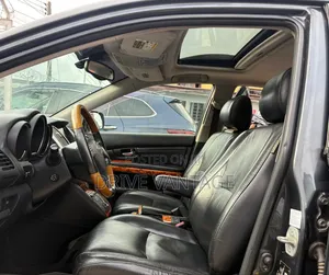 Lexus RX 2007 Gray