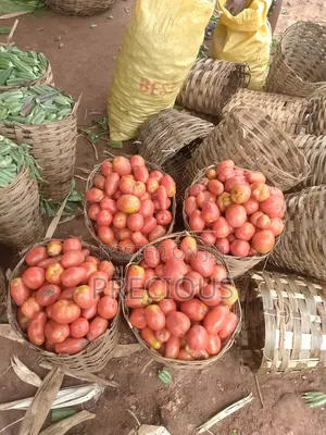 Food Stuff Supply.