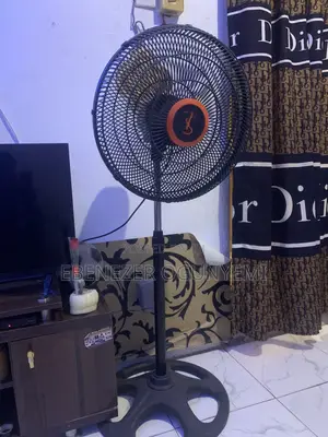 Standing Fan