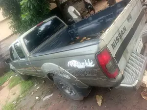 Nissan Frontier 2002 Gray