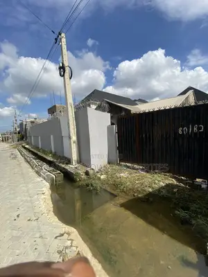 Full Plot of Land With With Cofo at Ago Okota, Isolo