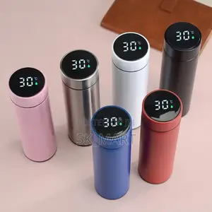 Temperature Flask