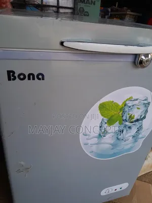 Bona 118l Inverter Friendly Chest Freezer Fast Cooling Efficient