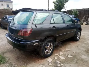 Lexus RX 2000 Gray