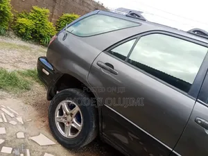 Lexus RX 2000 Gray