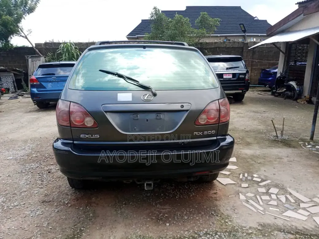 Lexus RX 2000 Gray