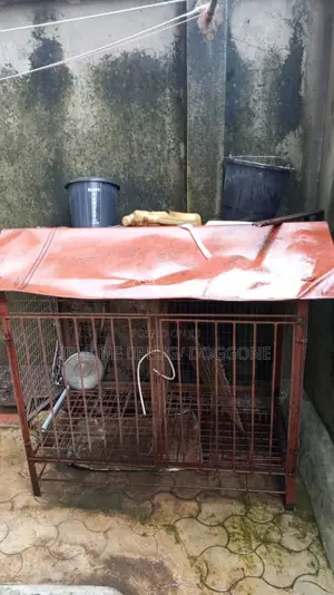 Big Cage for Dog