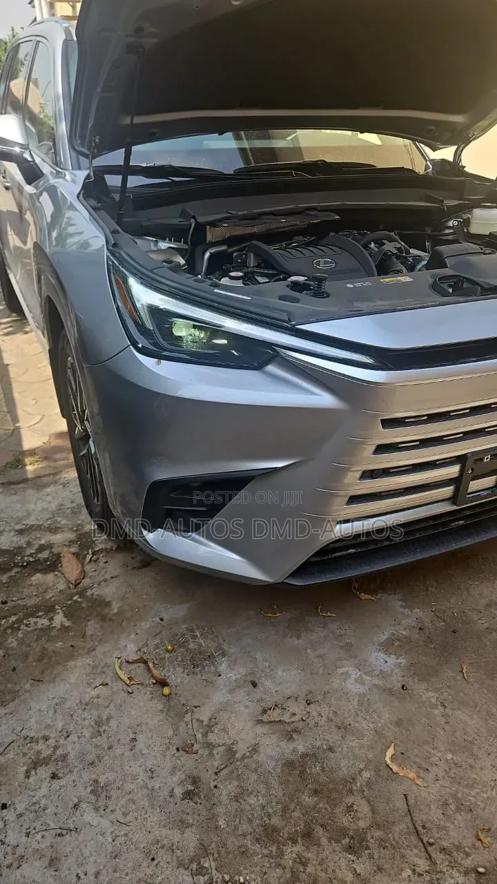 Lexus TX 2025 Gray