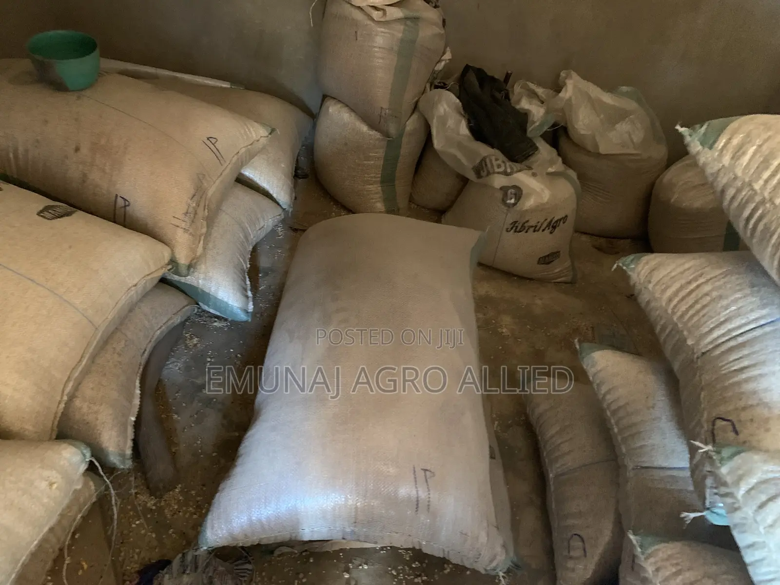 Maize Emunaj
