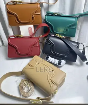 Female Hand Bag
