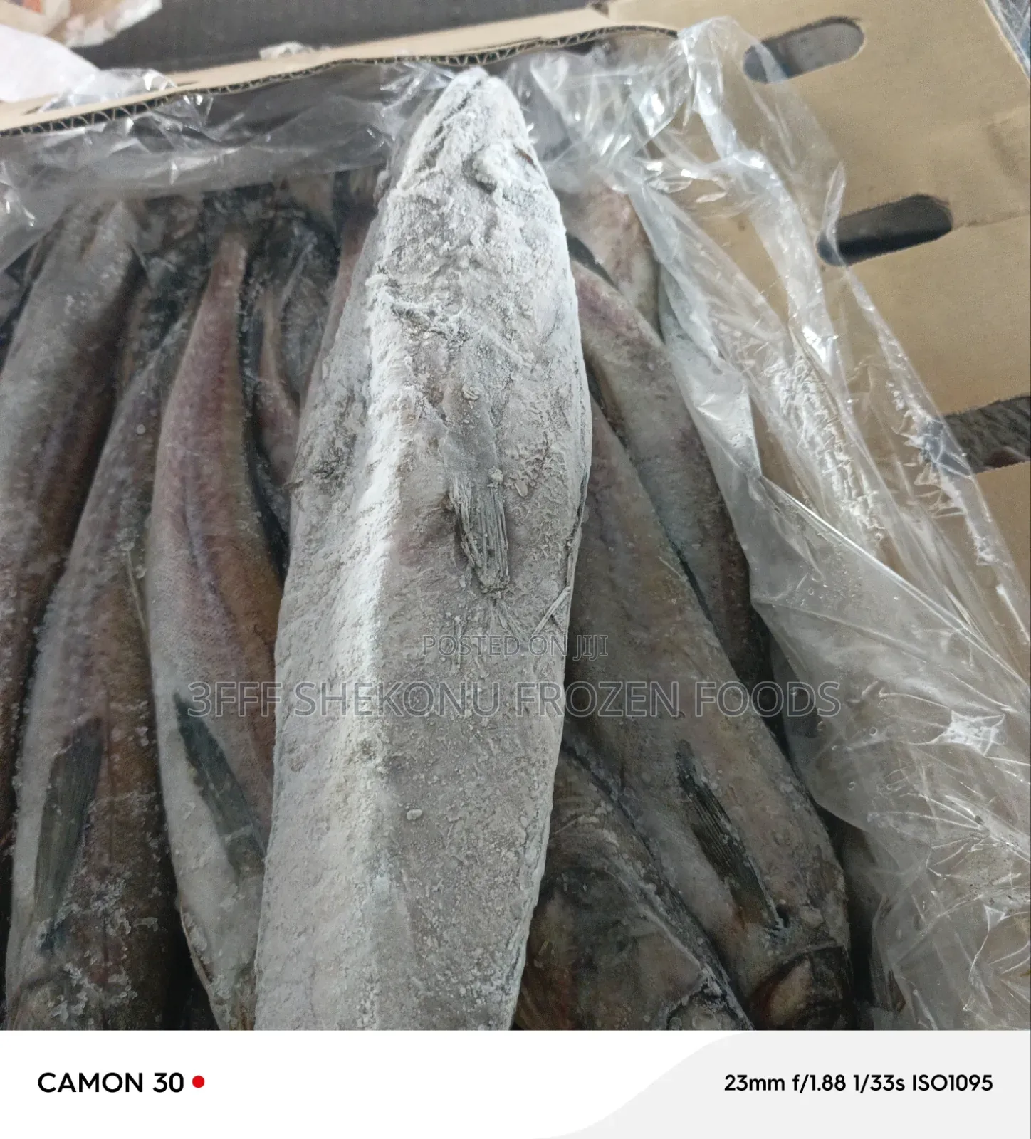 Panla Hake Fish
