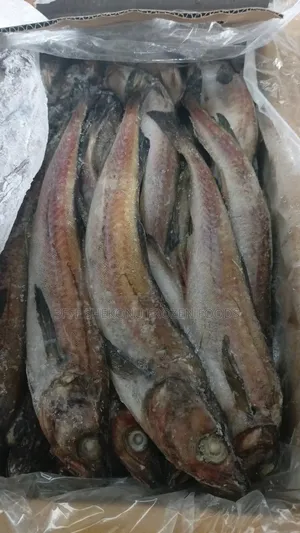 Panla Hake Fish