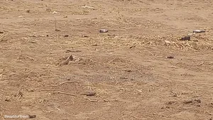 Tableland for Sale in Hutu