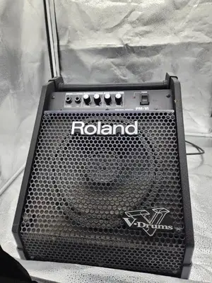 Bass Combo Roland v Drum Big Combo for Both Bass and Electric Drum