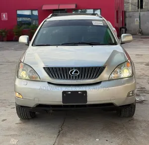 Lexus RX 2009 Gray