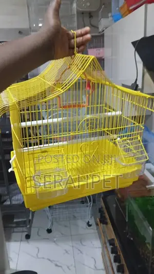 Love Birds Cage for Sale