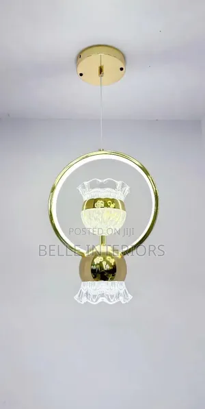 Nordic Lamps Led Modern Pendant
