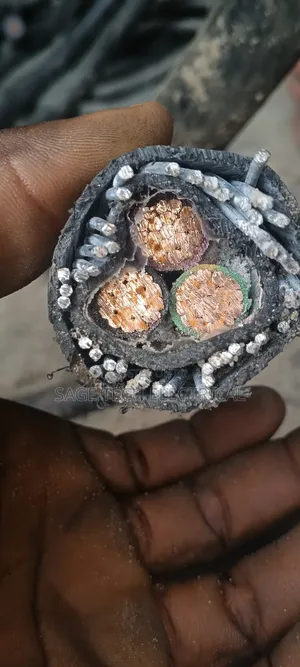 95mm 3core Armoured Cable Nigerchin