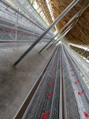 120birds Imported Hot Galvanised Battery Cage