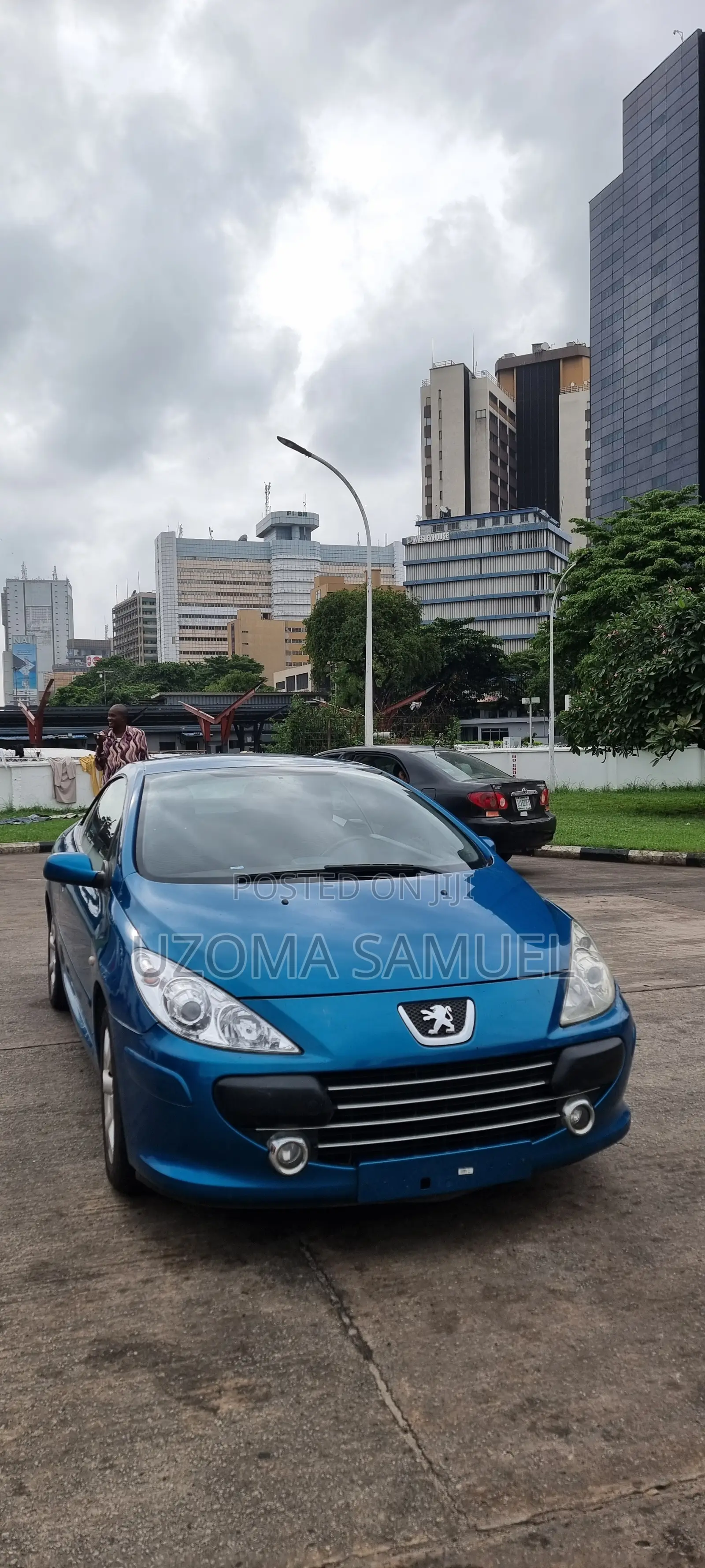 Peugeot 307 2007 Blue