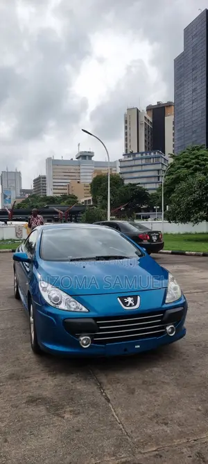 Peugeot 307 2007 Blue