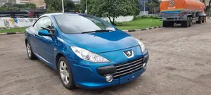 Peugeot 307 2007 Blue
