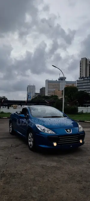 Peugeot 307 2007 Blue