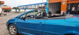 Peugeot 307 2007 Blue