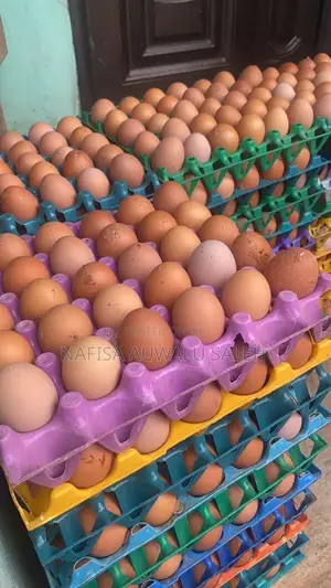 Fresh Farm Eggs – Large Small Crates Available
