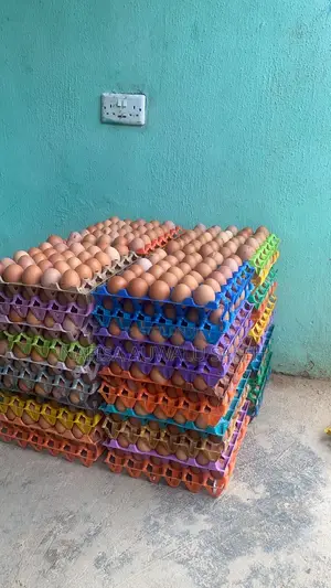 Fresh Farm Eggs – Large Small Crates Available