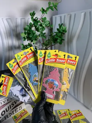 Little Tree Car / House Fragrance