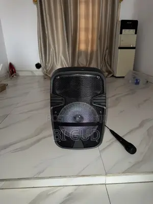 Speaker and Microphone